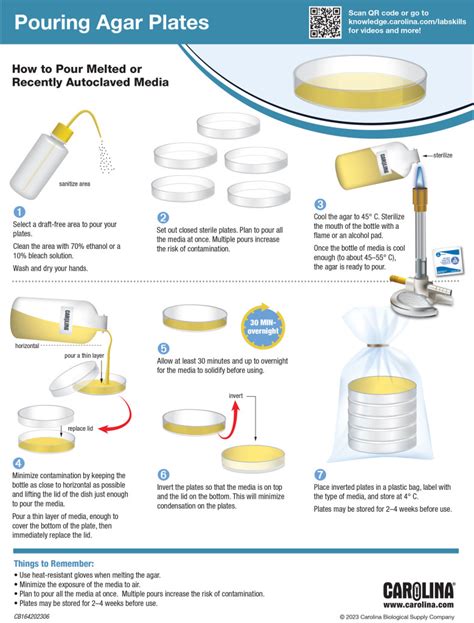 pouring agar plates for sale